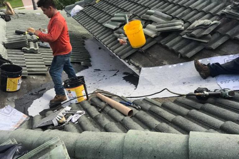power-washing-company-near-me-soft-roof-washing-service